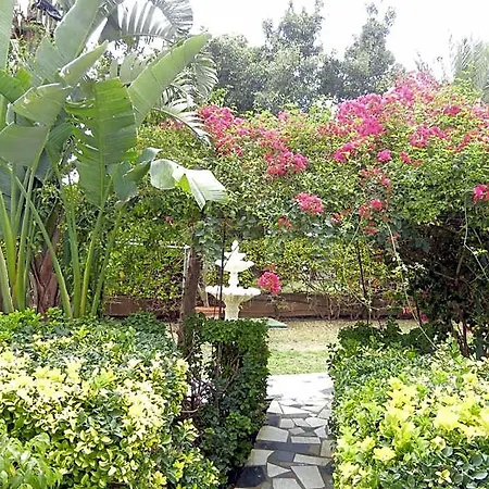 Tsialis Hotel Larnaca