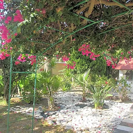 Tsialis Larnaca