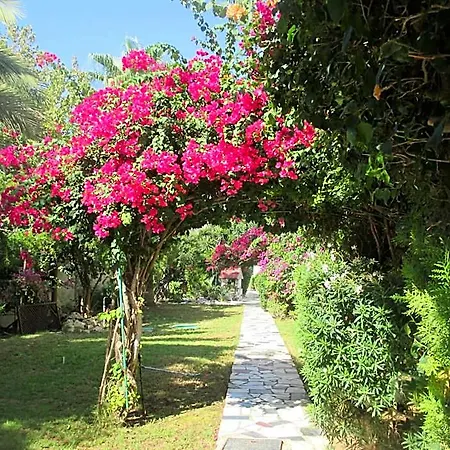 Hotel Tsialis Larnaca